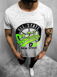 Vīriešu T-krekls pelēks OZONEE JS/KS2043Z