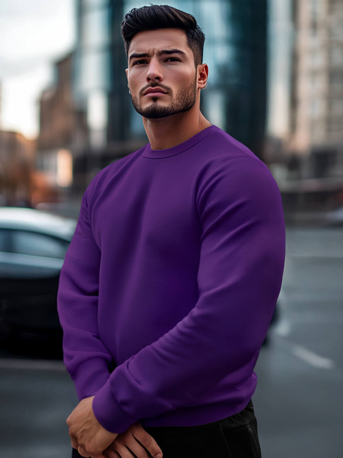 Vīriešu džemperis violets OZONEE JS/2001-10Z