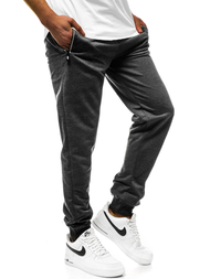  Vīriešu sporta bikses grafīta JS/XW001S