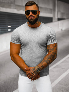 Vīriešu T-krekls Pelēks OZONEE JS/712005Z