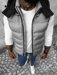 Vīriešu veste pelēka OZONEE N/7129