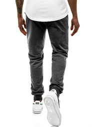 Vīriešu sporta bikses grafīta JS/XW007S